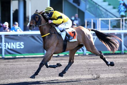 Les gagnants du Haras de Sassy du 01/03 au 07/03/2021