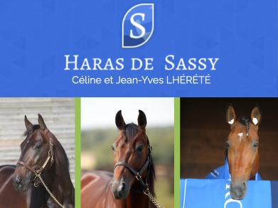 Les gagnants du Haras de Sassy du 08/06 au 01/07/2021 