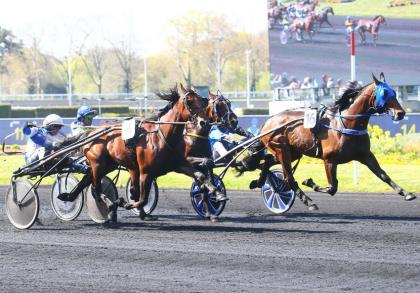 Les gagnants du Haras de Sassy du 30/03 au 09/04/2023