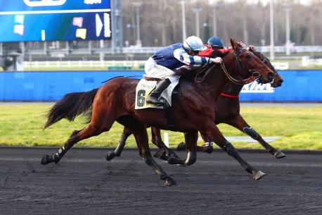 Les gagnants du Haras de Sassy du 14/02 au 19/02/2023