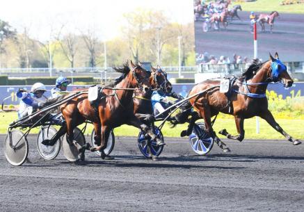 Les gagnants du Haras de Sassy du 30/03 au 09/04/2023