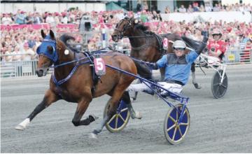 TIMOKO