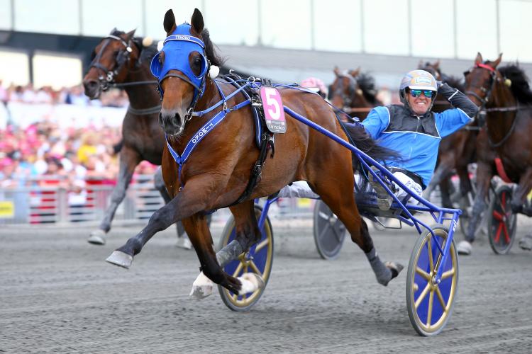 TIMOKO_Elitloppet_17_%282%29.PNG