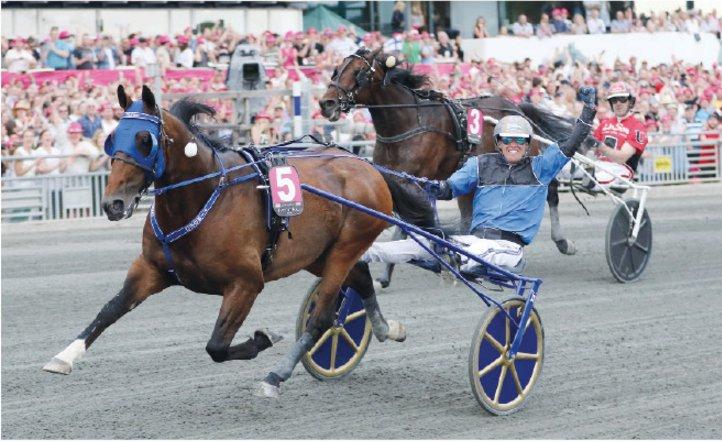 Timoko_Elitloppet.jpg