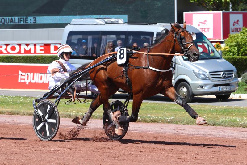 chevaux trotteurs qualifiés