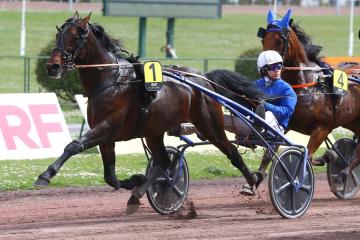 GIROLAMO