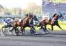 Les gagnants du Haras de Sassy du 30/03 au 09/04/2023