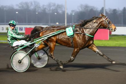 Les récents gagnants : Niky et Késaco Phedo, c'est 5 gagnants à Vincennes !
