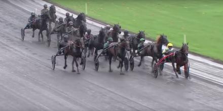 Arrivée du Prix de Bretagne : Akim, cap vers l'Amérique