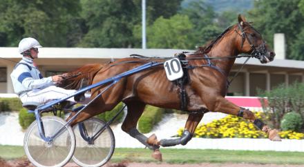 Akim : Cap vers la Haye !