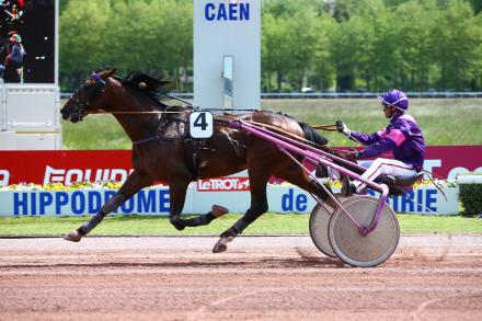 La grande Réunion de Caen : le bilan pour nos étalons.