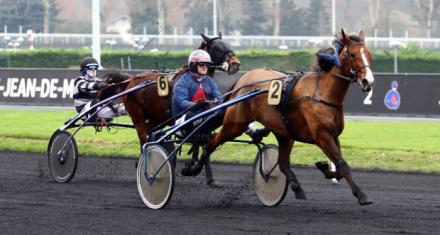 Timoko, la réussite dans les gènes !