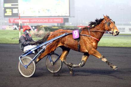 Les récents gagnants : Jam Pridem et Niky en réussite à Vincennes !