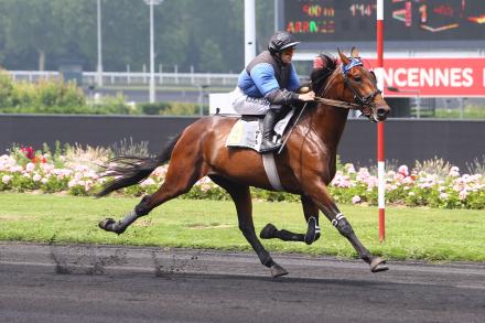 Les récents gagnants : Les Timoko sont Etonnant !