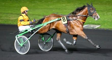 Fairyland (Roc Meslois), vedette chez les 2ans
