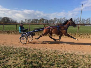 Timoko, un retour préparé dans le Sud Ouest !