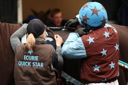 Les intérêts du Haras de Sassy dans le Belgique