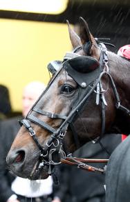 Les gagnants du Haras de Sassy du 07/09 au 20/09/2020