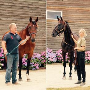 Timoko et Up And Quick : J-11 !