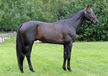 Les gagnants du Haras de Sassy du 29/03 au 04/04/2021