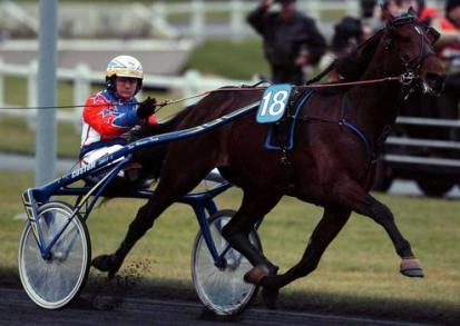 Des doses de sperme congelé de Varenne au Haras de Sassy !