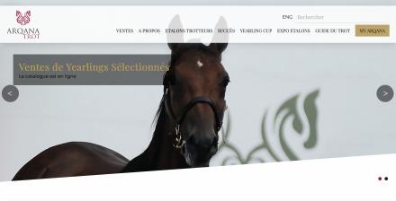  LES VENTES DU HARAS DE SASSY 