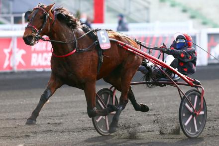 Les gagnants du Haras de Sassy du 14/12/2022 au 14/01/2023