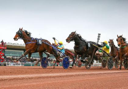 Les gagnants du Haras de Sassy du 10/03 au 27/03/2022