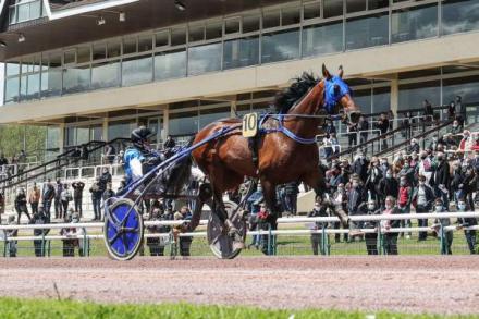 Les gagnants du Haras de Sassy du 17/05 au 30/05/2021 