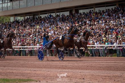 Les gagnants du Haras de Sassy du 26/04 au 15/05/2022 