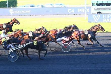 Les gagnants du Haras de Sassy du 24/10 au 13/11/2022