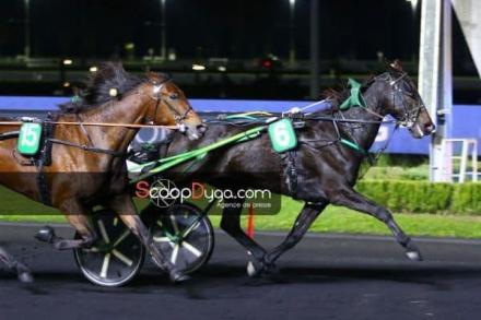 Les gagnants du Haras de Sassy du 04/10 au 17/10/2021 
