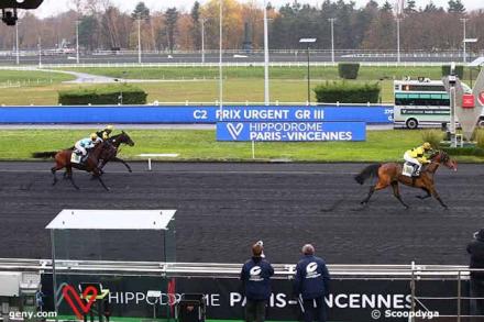 Les gagnants du Haras de Sassy du 30/11 au 13/12/2020