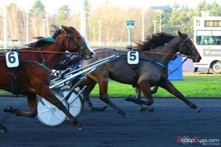 Les gagnants du Haras de Sassy du 13/12 au 19/12/2021 