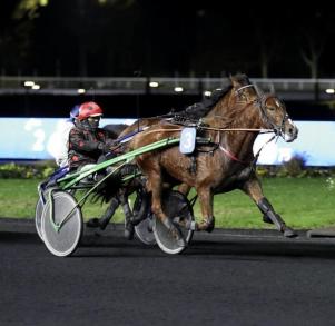 Les gagnants du Haras de Sassy du 14/11 au 27/11/2022