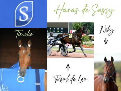 Les gagnants du Haras de Sassy du 04/07 au 25/07/2021