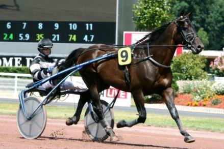 Les gagnants du Haras de Sassy du 26/07 au 15/08/2021 