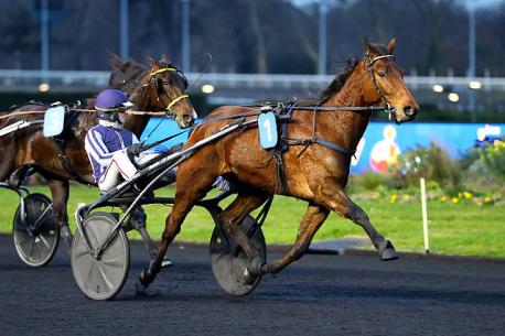 Les gagnants du Haras de Sassy du 21/02 au 05/03/2023