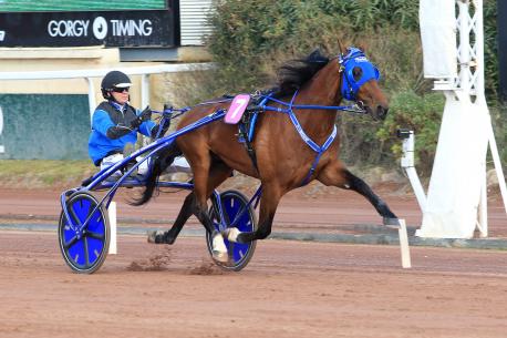 Timoko, un nouveau rendez-vous avec l'histoire !