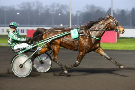 Les récents gagnants : Niky et Késaco Phedo, c'est 5 gagnants à Vincennes !