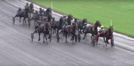 Arrivée du Prix de Bretagne : Akim, cap vers l'Amérique