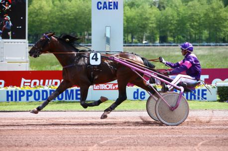 La grande Réunion de Caen : le bilan pour nos étalons.