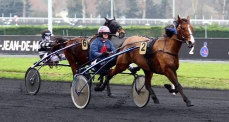 Timoko, la réussite dans les gènes !