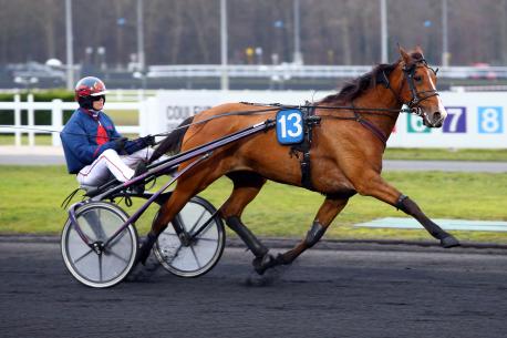 Les récents gagnants : des Timoko remarqués