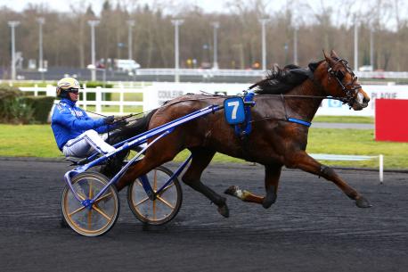 Les récents gagnants : Timoko a le vent en poupe !