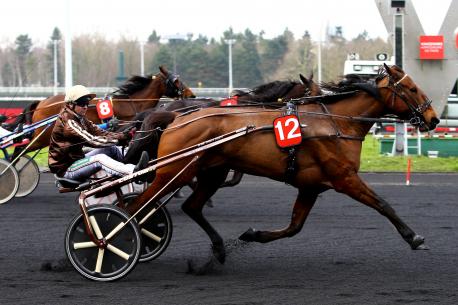 Roc Meslois et Timoko, les valeurs sûres de la semaine !