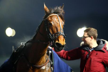 Les récents gagnants : du Roc Meslois à Vincennes !