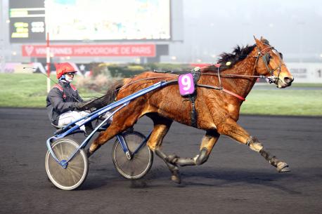 Les récents gagnants : Jam Pridem et Niky en réussite à Vincennes !