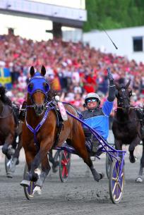 Timoko réalise l'impossible !