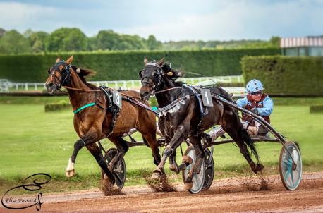 Up And Quick conserve son titre à Argentan !